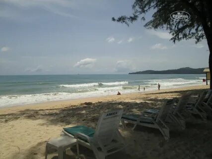 Amora beach отзывы
