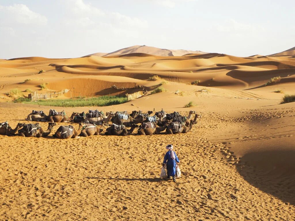 Занятия людей в пустыне. Сахель Африка. Опустынивание Сахель. Полупустыня Сахель. Сахара Сахель.