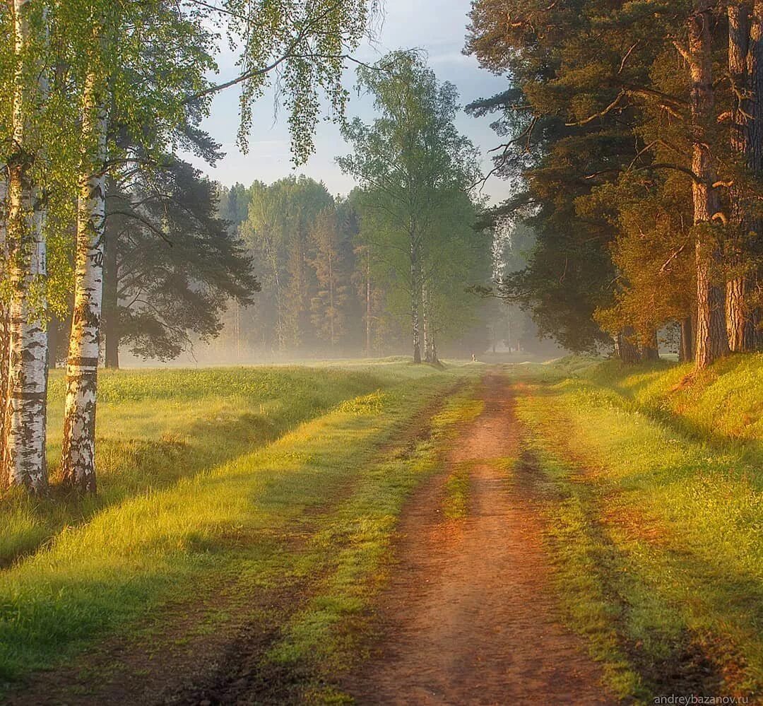 Пейзажи россии. Родные просторы просторы. Родные просторы Русь. Родные просторы природа России. Российский пейзаж.