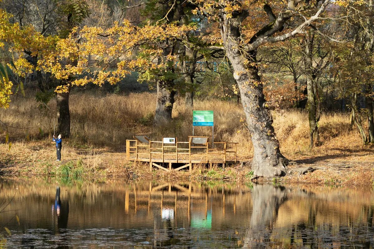 бибердова дача ставрополь. ставрополь урочище ртищева. ртищев пруд ставрополь. ртищева дача ставрополь история. г.