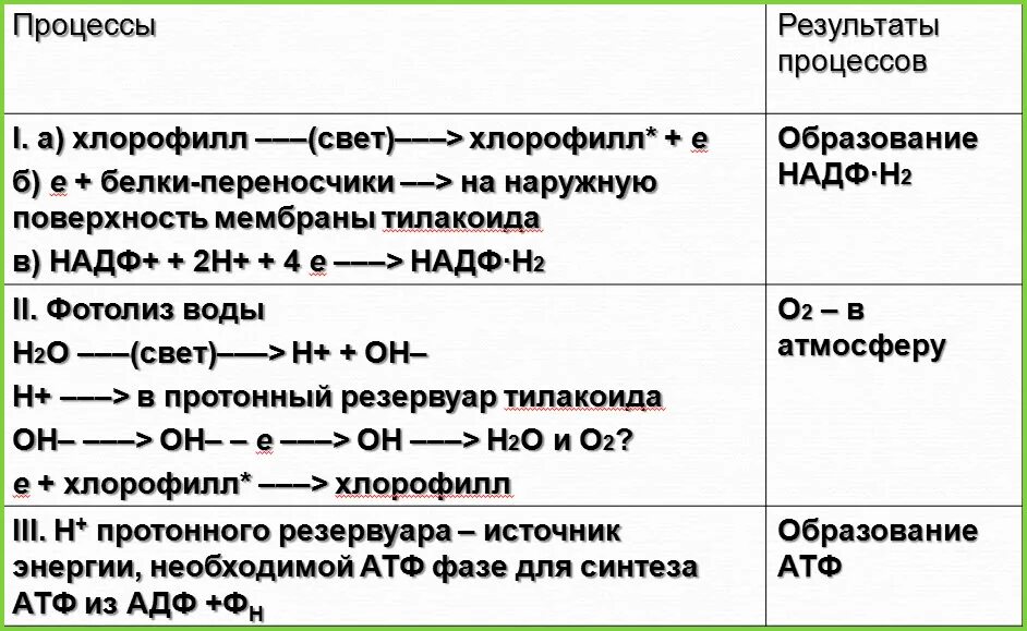 Световая фаза последовательность процессов. Световая фаза фотосинтеза 9 класс биология. Таблица фазы фотосинтеза 10 класс. Характеристика Темновой фазы фотосинтеза. Фотосинтез в световой и Темновой фазах.