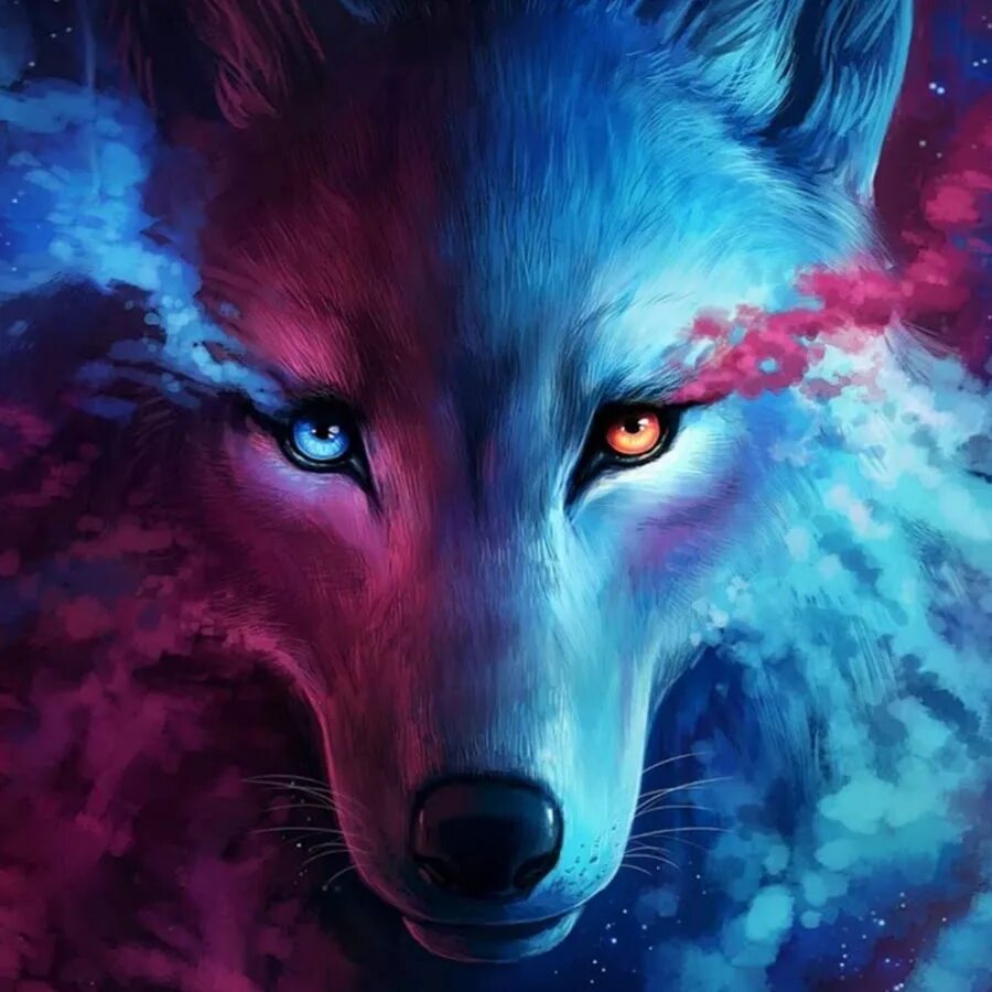 Даня волк вк. Дани волк. Даня волк раменское. Цитаты волка. Дани волк.