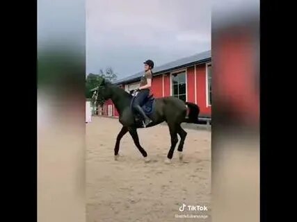 Лошадь в тик токе