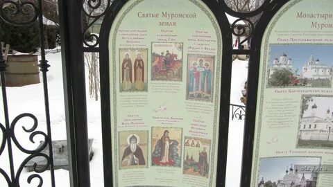 Дорога домой муром