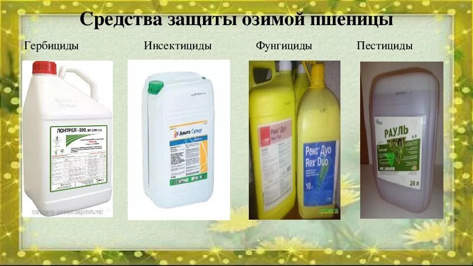 Озим препарат. Регулятор роста для пшеницы. Микроудобрения для пшеницы. Торговый дом кирово-чепецкая химическая компания. Гербициды для пшеницы.