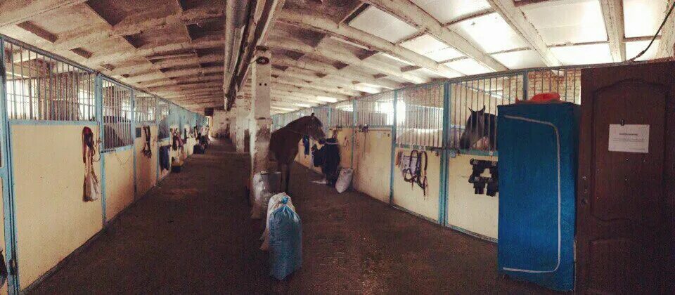 Деревянная дверь в конюшню. Кск журавка. Антей конюшня. Конюшня в рогачево дмитровский район. Антей рогачево конюшня.