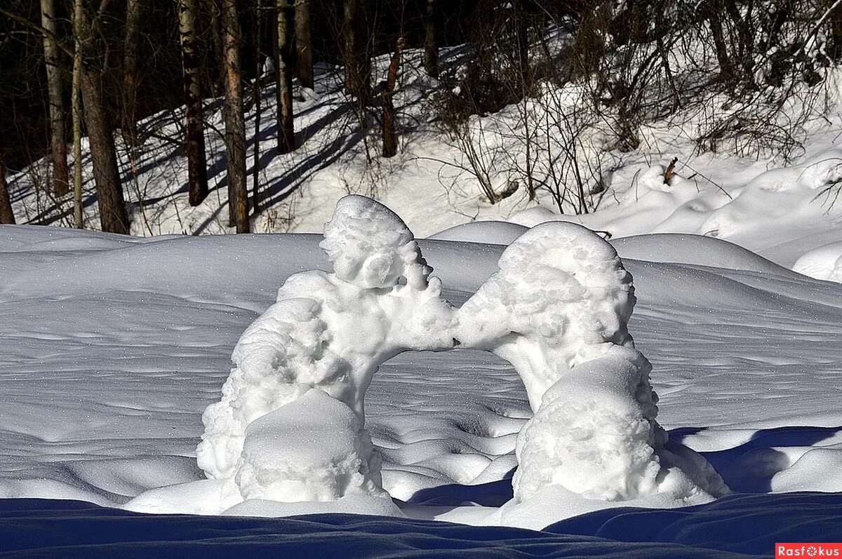 зимой можно увидеть. Aurora borealis северное сияние. северное сияние кольский полуостров мурманская область. северное сияние в мурманске. нередко зимой можно увидеть как стайки хохлатых птиц.