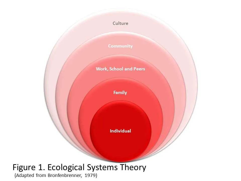 Systems theory. Ecological System Theory. Модель экологических систем Ури Бронфенбреннера. Individuals ecology. Microsystems Theory and its application popkov.