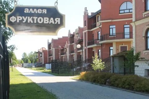 Ольгино электроугли