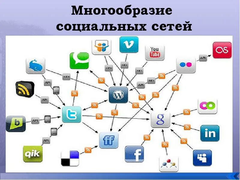 Соц сети. Многообразие социальных сетей. В социальных сетях. Разнообразие сетей.