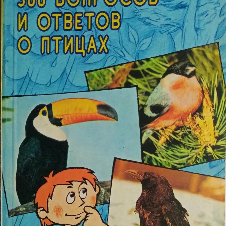 300 вопросов лучшему другу. 300 Вопросов и ответов. Алексеев 300 вопросов и ответов по экологии. Вопросы про птиц. Книги иностранных писателей о птицах.