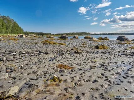 Какая вода в белом море