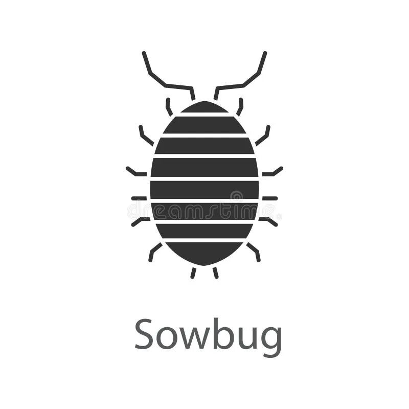 Bug up