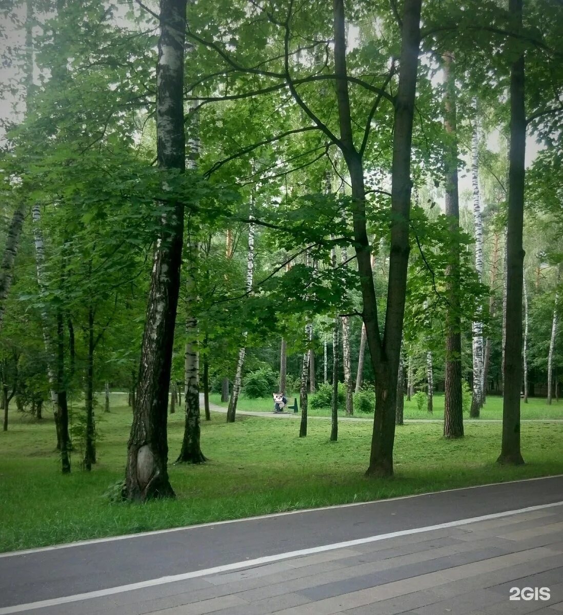 балашиха парковая 4а. чайхана балашиха парк пехорка. чайхана в балашихе в парке. , 4а. чайхона пехорка парк в балашихе.