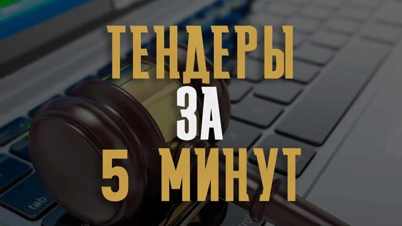 Первый выигранный тендер. Госзаказ для малого и среднего бизнеса. Бизнес бумаги. Участие в тендерах. Тендеры видео.