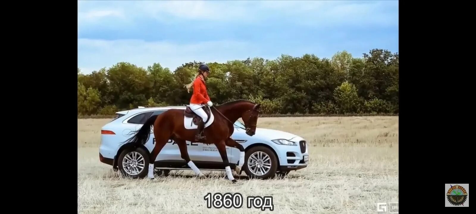 Монжаро лошадиные силы. Машина с лошадью. конь и автомобиль. лошадиные силы авто.