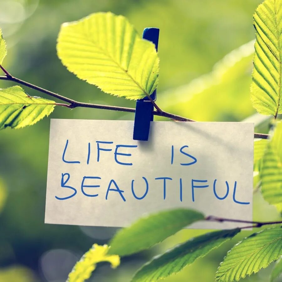 Take care you. Take care of yourself картина. Take care of yourself картинки. Have it taken care of. Have it taken care of.