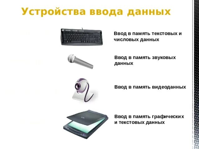 Какое из устройств не является исполнительным. Устройства ввода данных. Устройства ввода графической информации. Устройства ввода текста. Устройство для ввода звуковых данных.