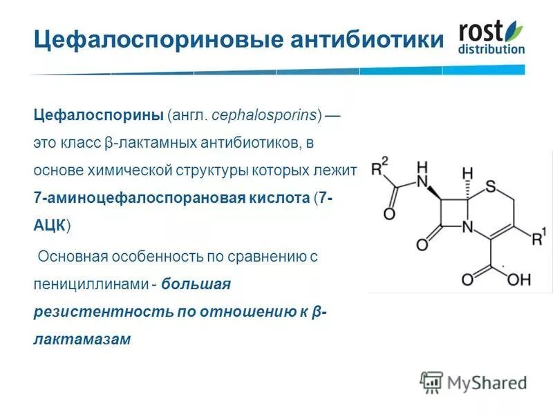 Антибиотики пенициллины цефалоспорины