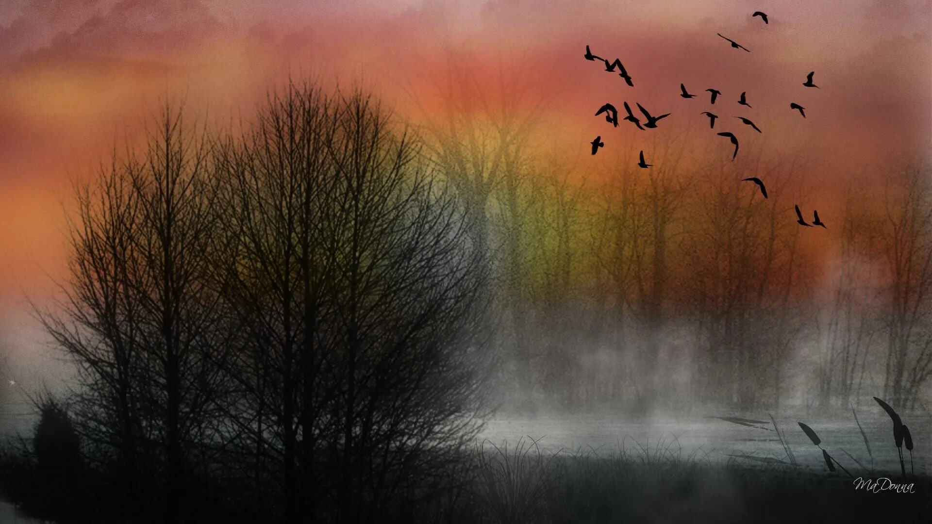 Птицы в тумане. Птицы над лесом в тумане. Лес в тумане птицы. Птицы на закате.