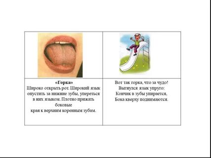 Упругий язык