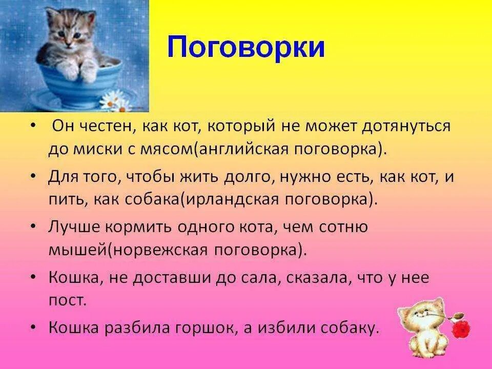 Поговорки про кошек. Пословицы о кошках. Пословицы про кота. Пословицы о котах.