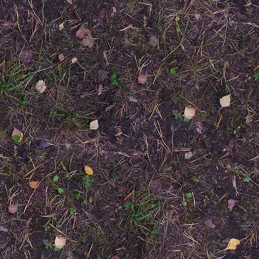 Forest grounded. Forest ground texture. forest dirt texture. forest 512x512. rainforest ground textures.