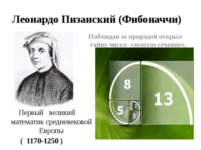 Сечение числа. Леонардо пизанский золотое сечение. леонардо пизанский математик. леонардо пизанский (фибоначчи) золотое сечение. цифры фибоначчи и золотое сечение.