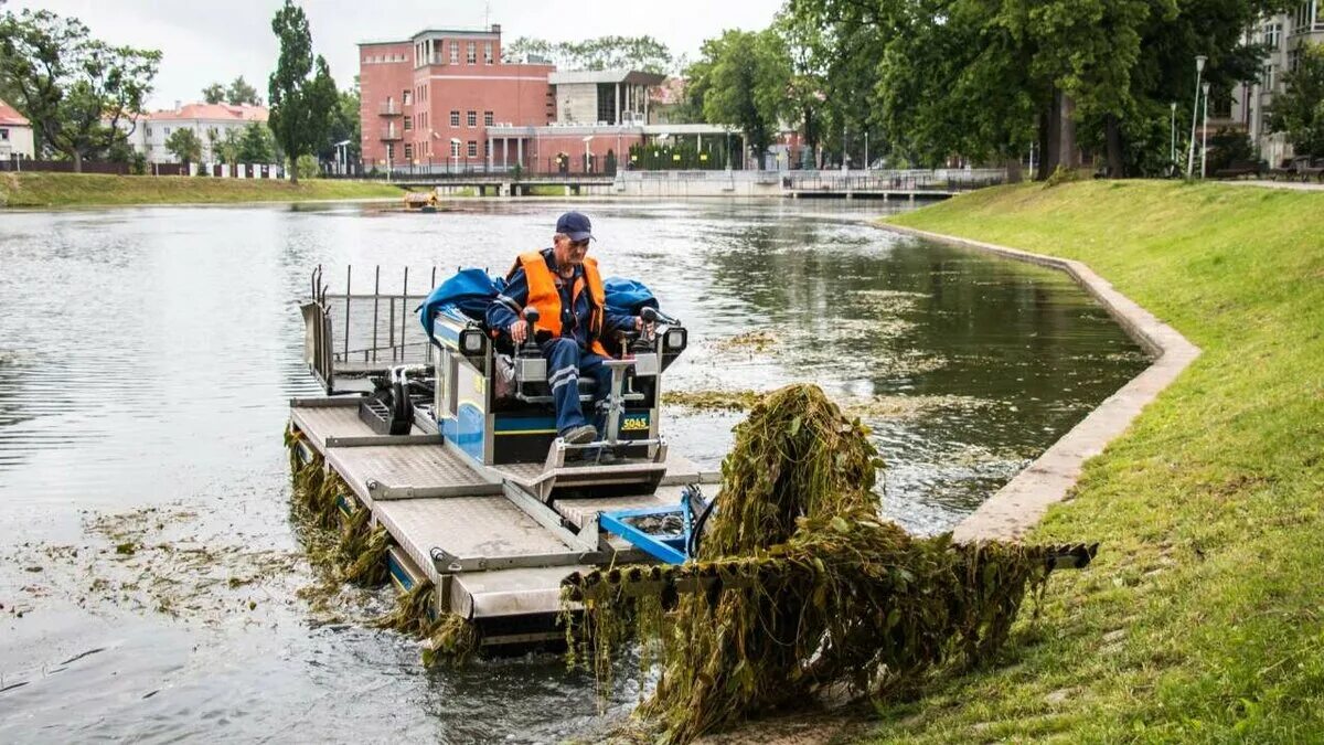 Очистка речной воды. Чистка пруда. Очиститель пруда от водорослей. Очистка озера. Расчистка водоемов.