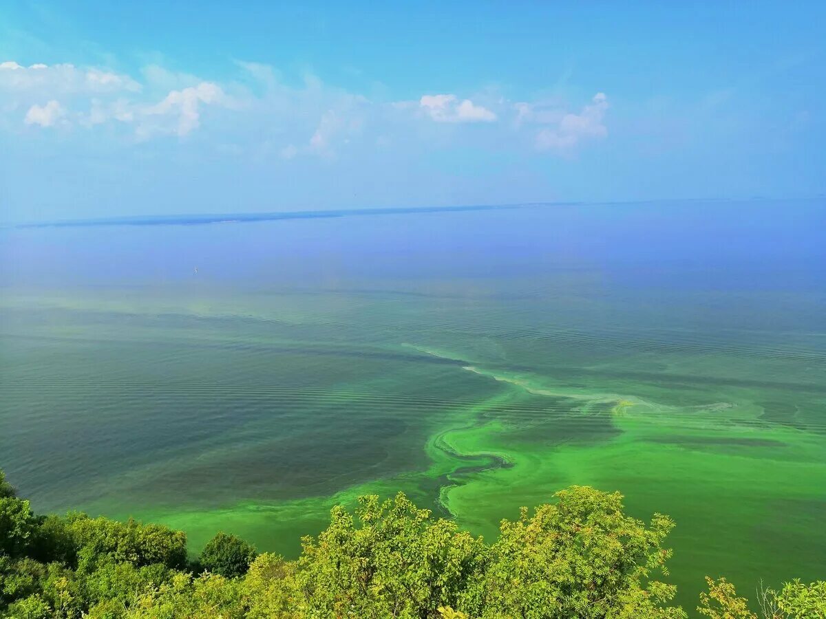 Камское устье волга. Камское устье река волга. Устье камы. Река свияга в татарстане. Камское устье река волга.