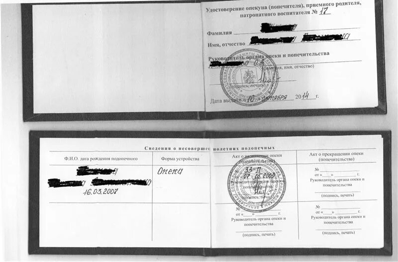 Свидетельство опекуна. Документы для опеки над ребенком. Свидетельство опекуна. Свидетельство опекуна. Свидетельство опекуна.