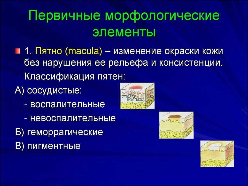 Первичные и вторичные поражения