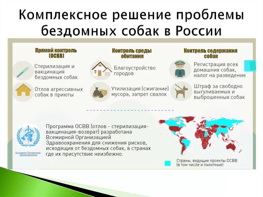Решение проблемы бездомных животных. Статистика бродячих собак в россии. решение проблемы с бродячими собаками. решение проблемы бездомных собак. статистика по бездомным животным в россии.
