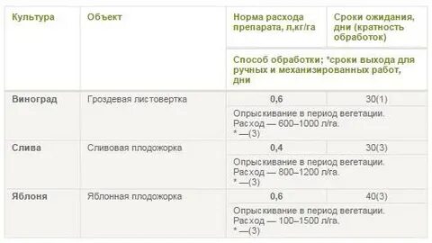 Эйфория на 10 литров