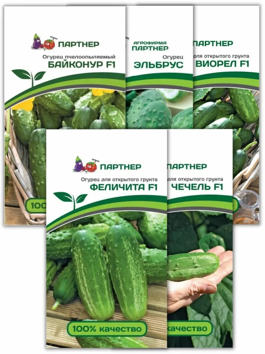 Семена огурцов фирмы партнер. Огурцы партнер каталог. Лучшие сорта огурцов фирмы партнер. Семена огурец «хоббит» f1. Огурцы партнер.