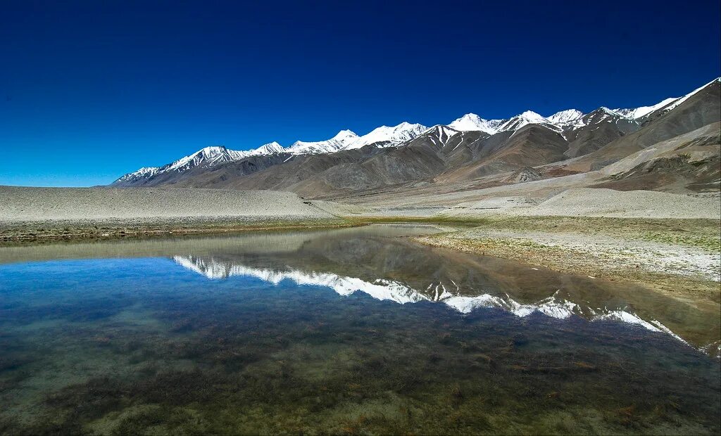 Гималаи озера. Озеро Пангонг Ладакх Индия. Пангонг-ЦО Тибет. Озеро Пангонг-ЦО. Озеро Пангонг-ЦО В Гималаях.