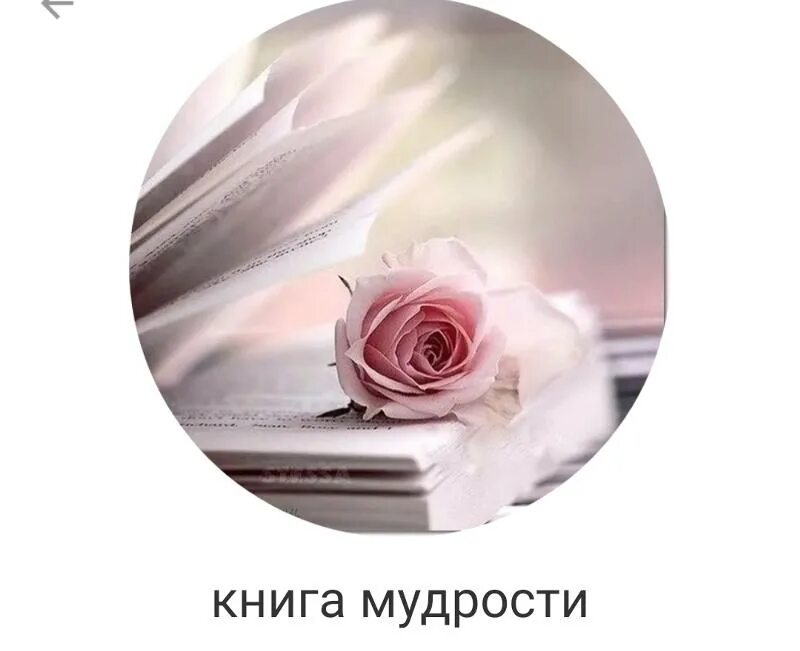 С днем рождения ваша мудрость. Мудрость. мудрых книг хранитель вечный. книжная мудрость. солнечная светлость книжной мудрости.