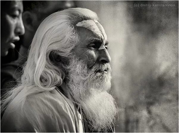 Лев клыков. Старец. Старец мудрец. Дедушка добри добрев. Старец мудрец.