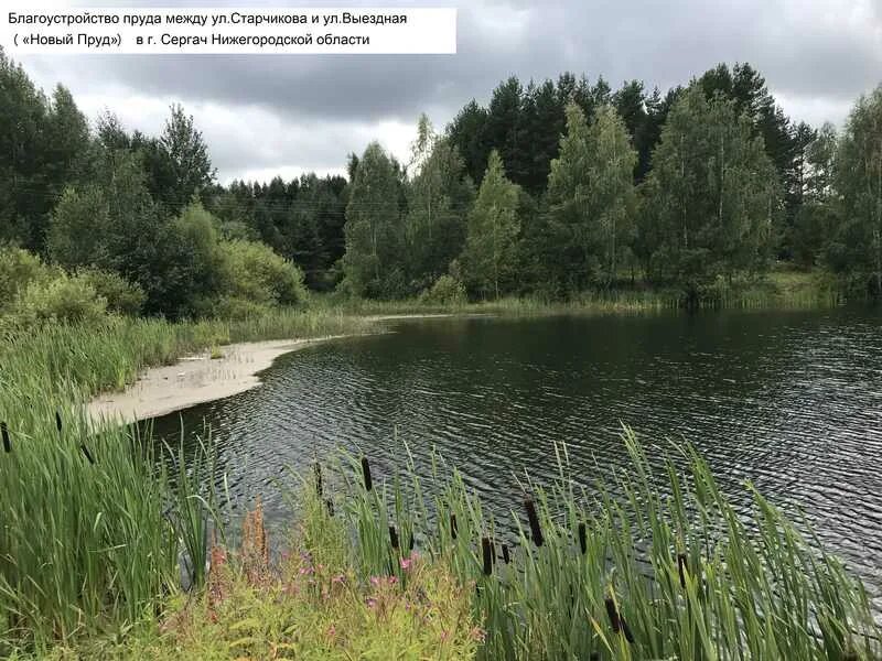 Сергач ул выездная. Новый пруд сергач. Улица выездная 9а сергач. Сергач улица выездная. Выездная улица сергач 13.