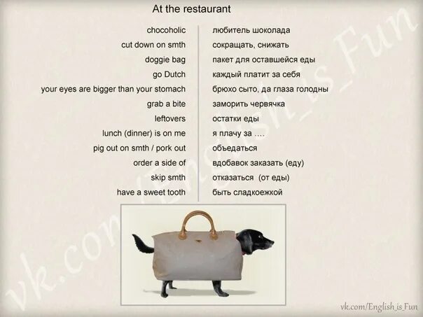 Задания на еду ресторан английский. Фразы на английском в ресторане. Выражения для кафе на английском. Диалог заказ в ресторане. Диалог заказ в ресторане.