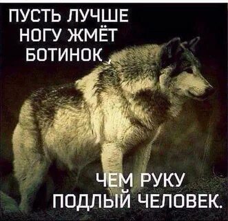 Подлость друзей