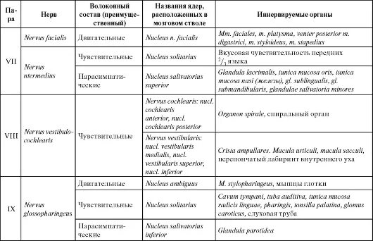 Иннервация черепно мозговых нервов. 12 Пар черепно мозговых нервов таблица иннервация. Иннервация 12 пар черепных нервов анатомия. 12 Пар черепных нервов таблица с ядрами. 12 Пар черепно-мозговых нервов их ядра.