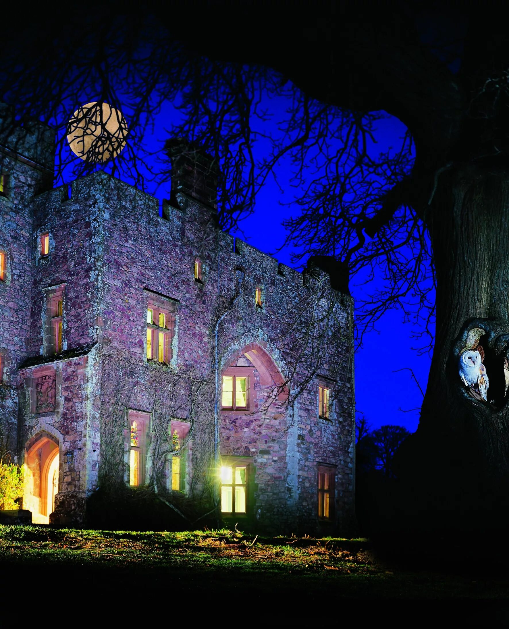 Замок Манкастер призраки. Muncaster Castle England. Замок с привидениями Бена Смита. Замок с привидениями во франции люси