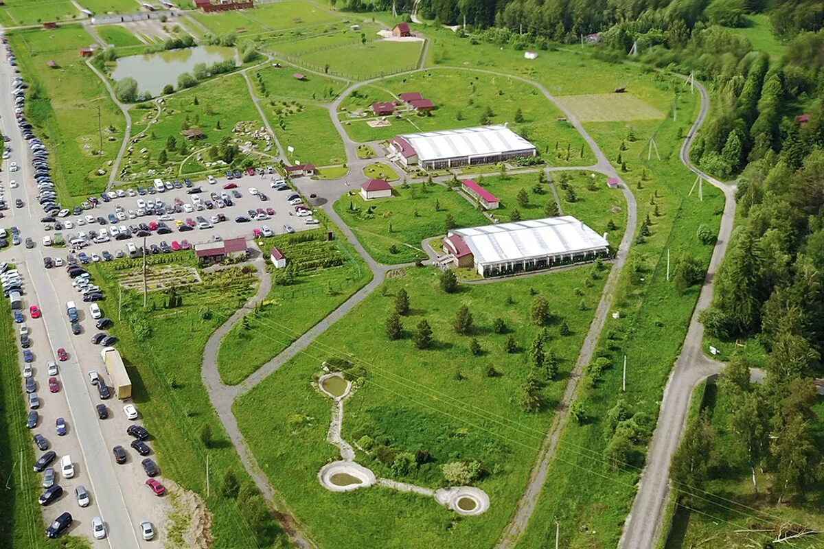 Парк воробьи калужская область. Парк птиц наро-фоминский район. Парк птиц воробьи калуга. Парк птиц воробьи калуга. Калужская область жуковский район парк птиц воробьи.