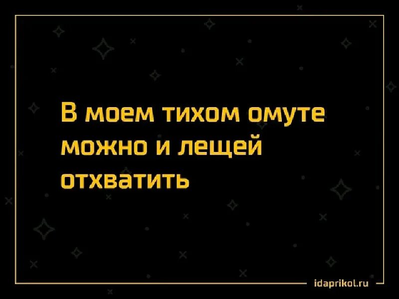 Что значит в тихом омуте черти. В моём тихом омуте. В тихом омуте прикол. Логотип тихий омут. Тихий омут что значит.