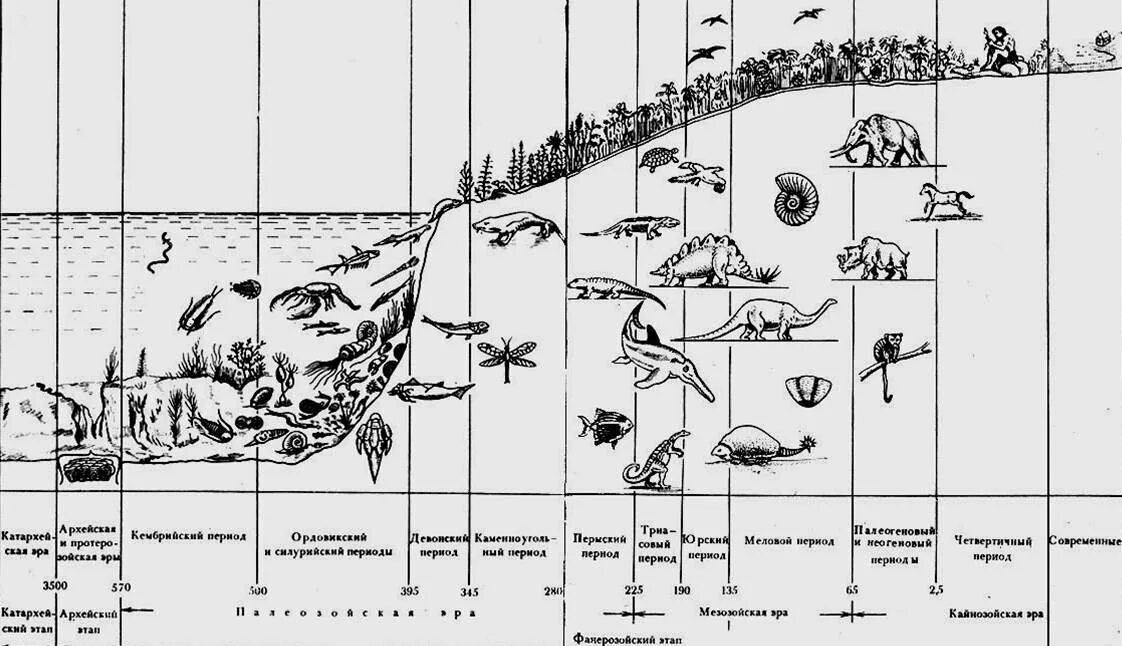 Эволюция живого таблица. Этапы развития земли схема. Этапы развития жизни на земле схема. Этапы возникновения жизни на земле схема.