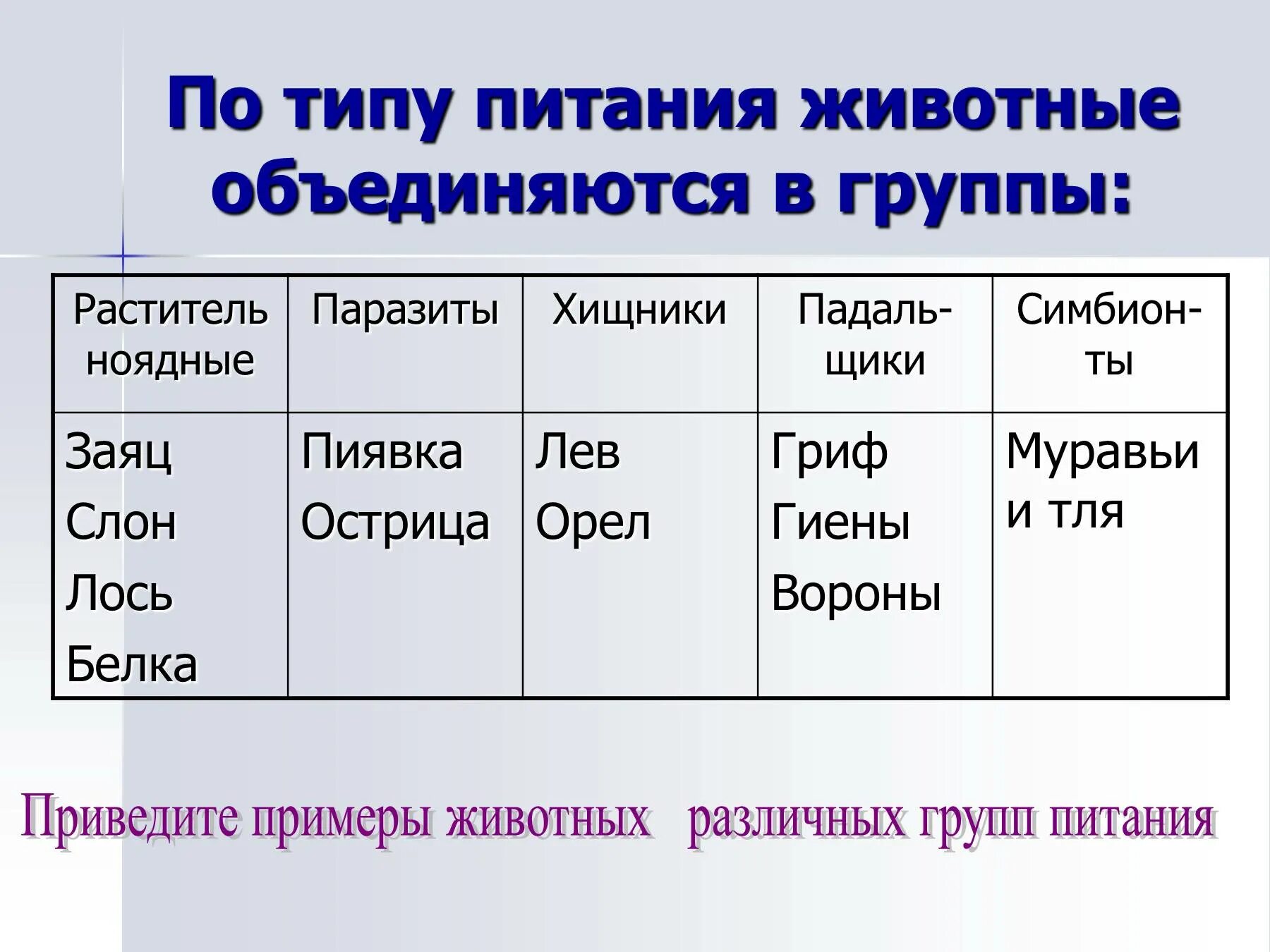 Типы питания животных таблица. Классификация животных по типу питания. типы питания животных. животные по типу питания таблица. типы животных по питанию.