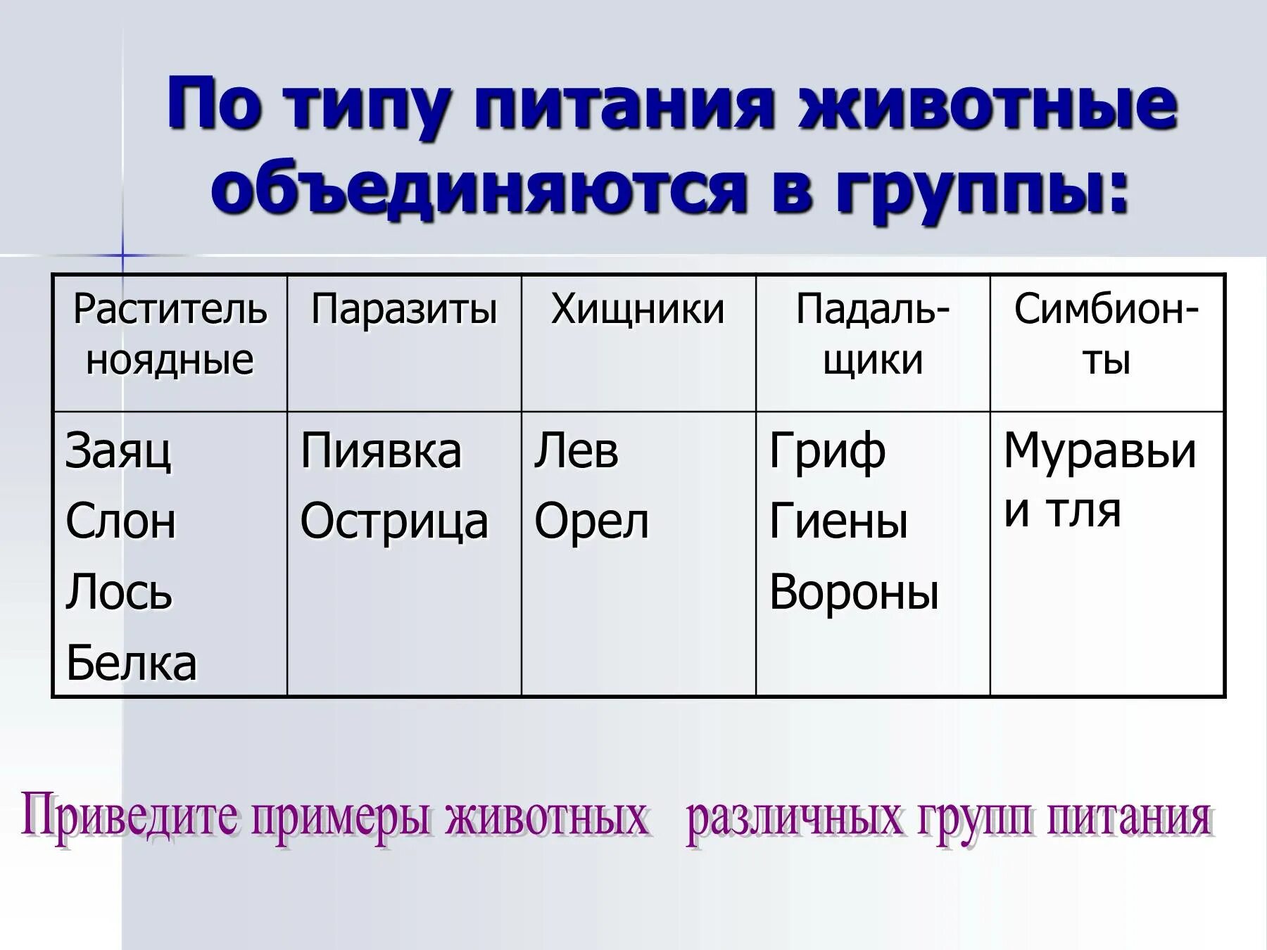 Типы питания животных. Группы животных по типу питания. Таблица животных по типу питания. Типы питания животных с примерами.