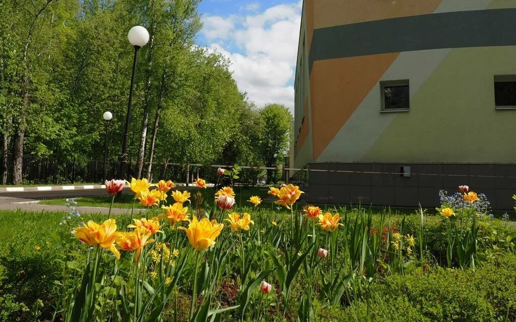 Комната в москве троицк. Троицк наукоград. троицк москва наукоград. парк в городе троицк московская область.