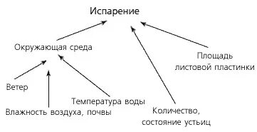 Внешние факторы влияющие на транспирацию
